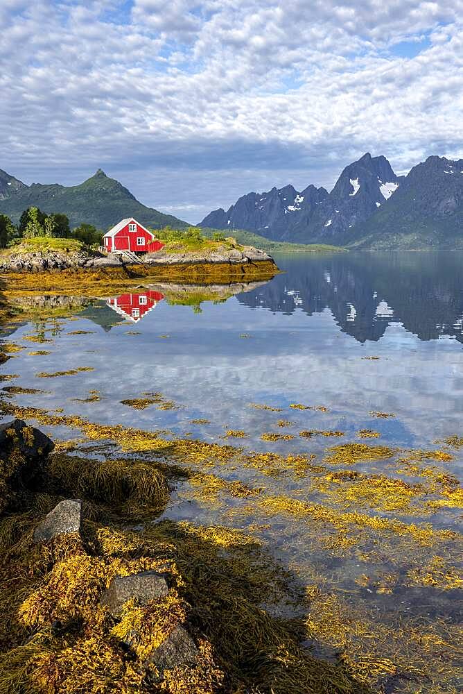 Red fishing hut on the shore, Rorbuer hut, Fjord Raftsund and mountains, Vesteralen, Norway, Europe