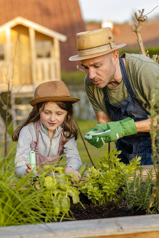 Father and daughter working on the raised bed