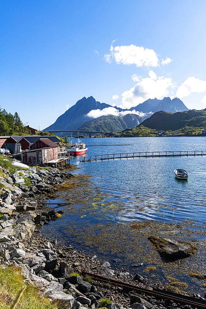 Little fish hamlets along a fjord, Lofoten, Norway, Europe