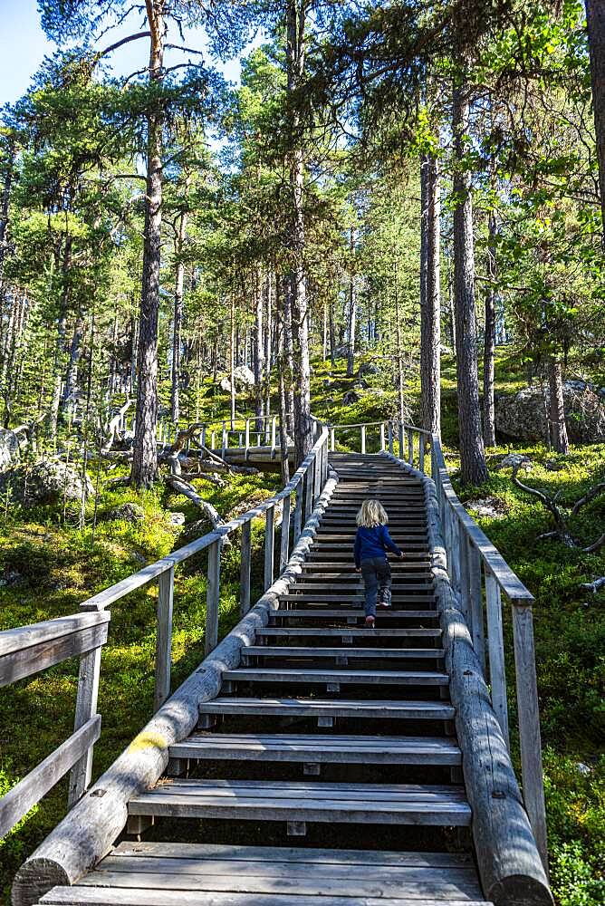 Wooden stairs to the ""Bear's Den"" Tafone Rock, Inari, Lapland, Finland, Europe