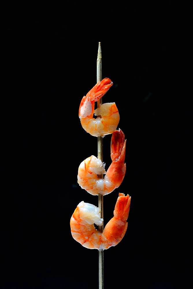 Cooked prawns on wooden skewer, Germany, Europe