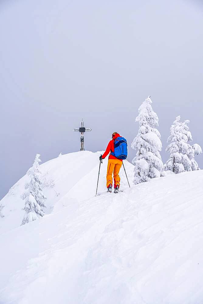 Young woman on ski tour, ski tourers, summit of Rauhkopf in winter, Mangfall mountains, Bavarian Prealps, Upper Bavaria, Bavaria, Germany, Europe