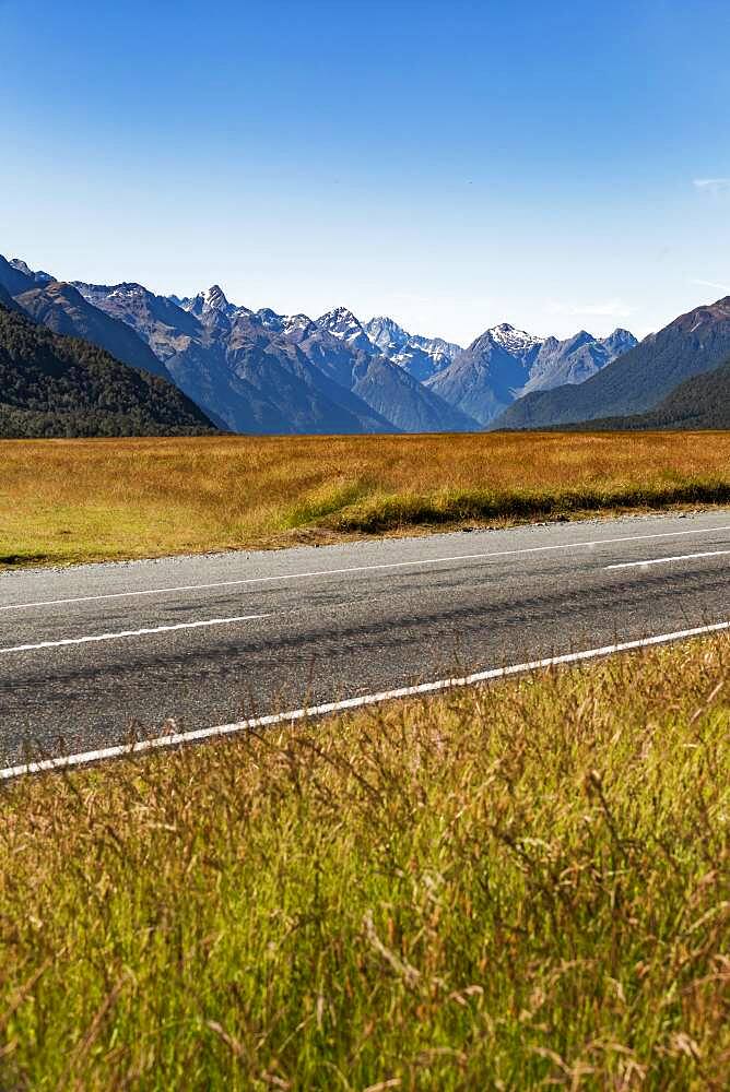 Landscape, Milford Sound area, Fiordland National Park, Fiordland, South Island, New Zealand, Oceania