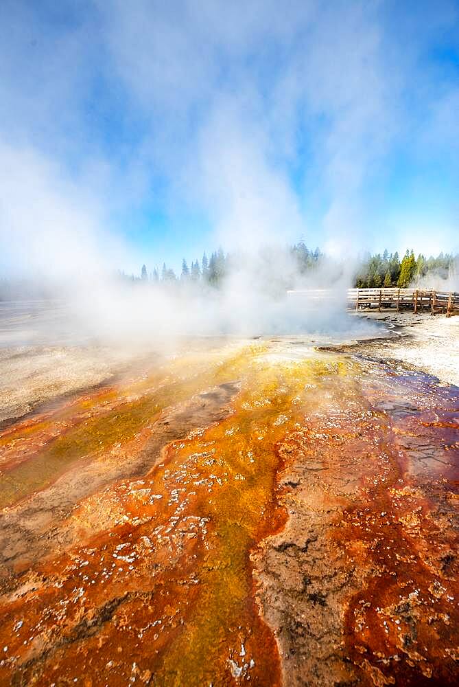 Orange and red mineral deposits, steaming hot springs, morning sun, West Thumb Geyser Basin, Yellowstone National Park, Wyoming, USA, North America