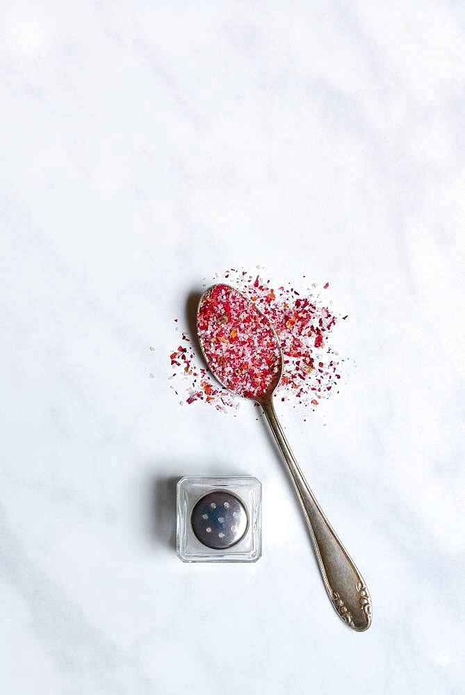 Rose salt in spoon and salt shaker, rose petal salt, Germany, Europe