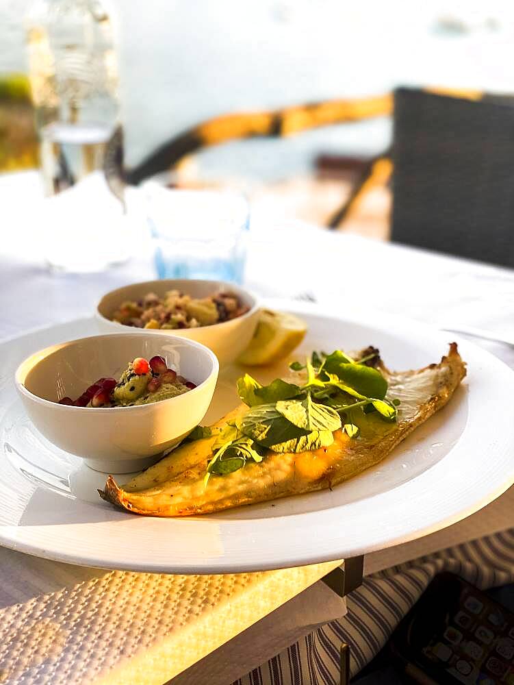 Grilled turbot fillet with side dishes, Port Andratx, Majorca, Spain, Europe