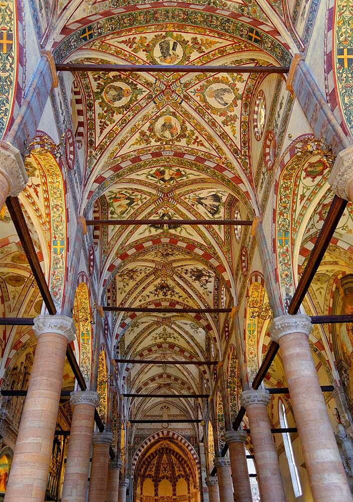 Ceiling of the church of Sant Anastasia, Verona, Veneto, Italy, reinforced with iron girders to prevent earthquakes, Europe