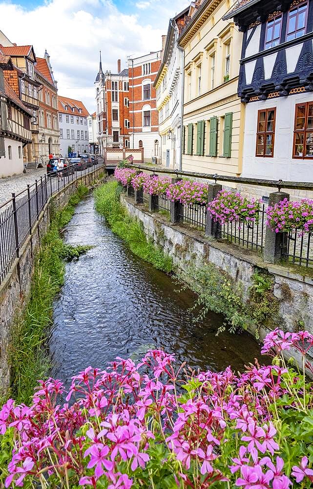 Muehlgraben in Quedlinburg, Saxony-Anhalt, Germany, Europe