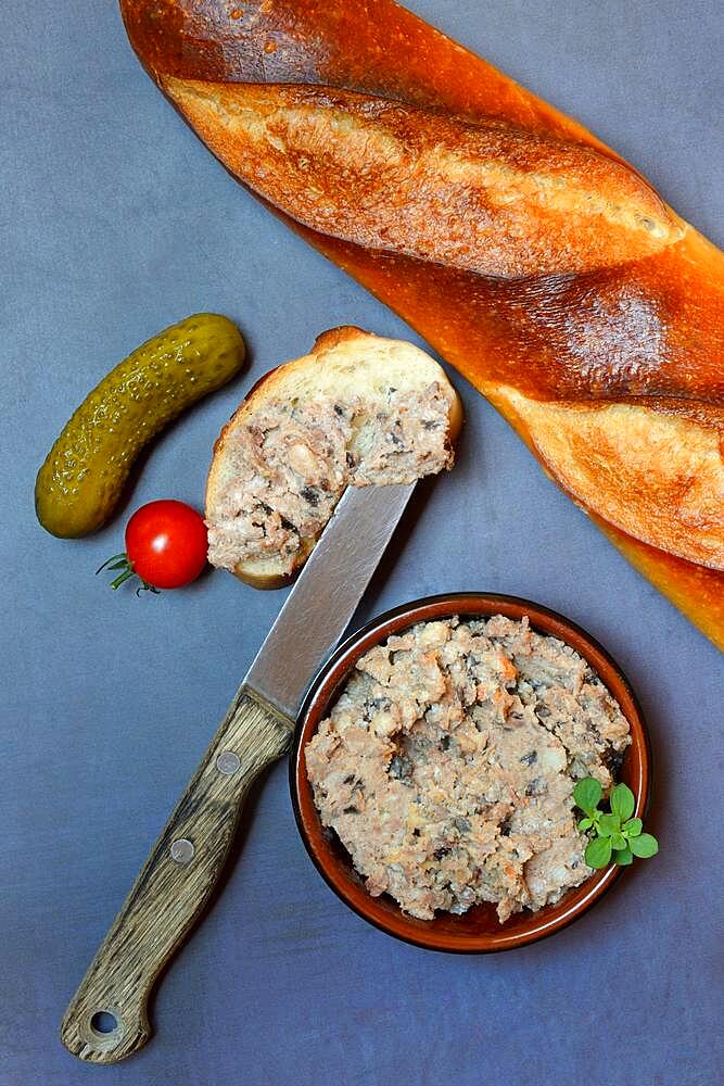 A bowl of meat terrine and slice of bread, France, Europe