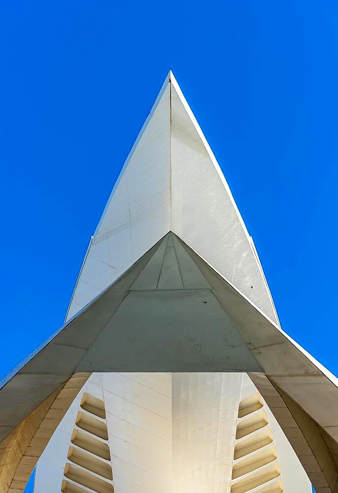 Palace of the Arts, Palau de les Arts Reina Sofia, City of Arts and Sciences, Valencia, Spain, Europe