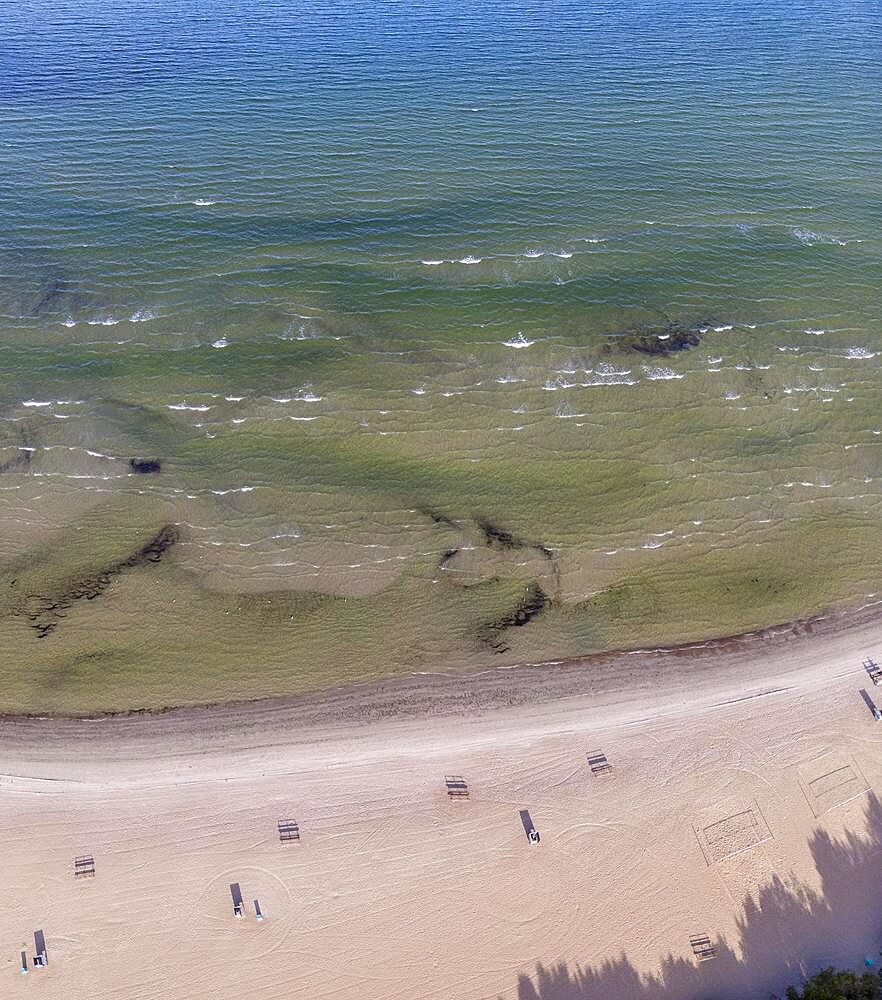 Sandy beach beach with wave fringe, Pirita rand, aerial view, Tallinn, Estonia, Europe