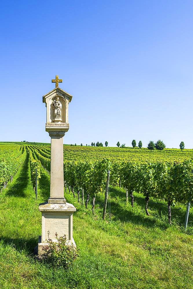 Wayside shrine near Volkach, Mainfranken, Lower Franconia, Franconia, Bavaria, Germany, Europe