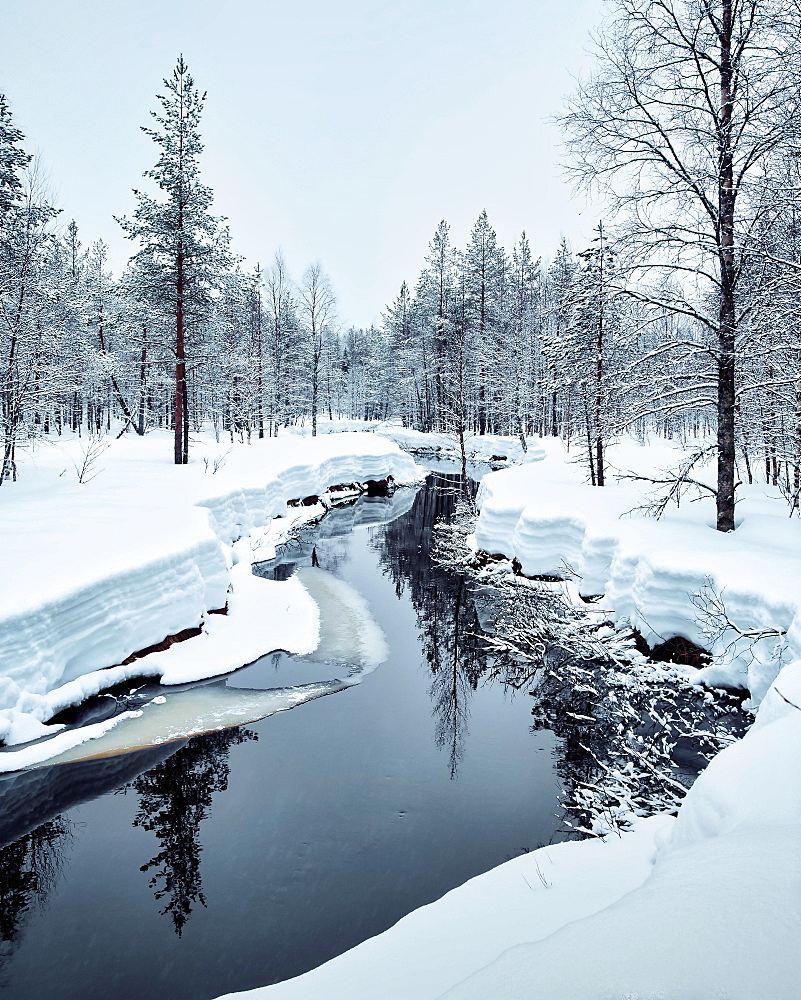 Icy river with spruces and snow, Rovaniemi, Finland, Europe