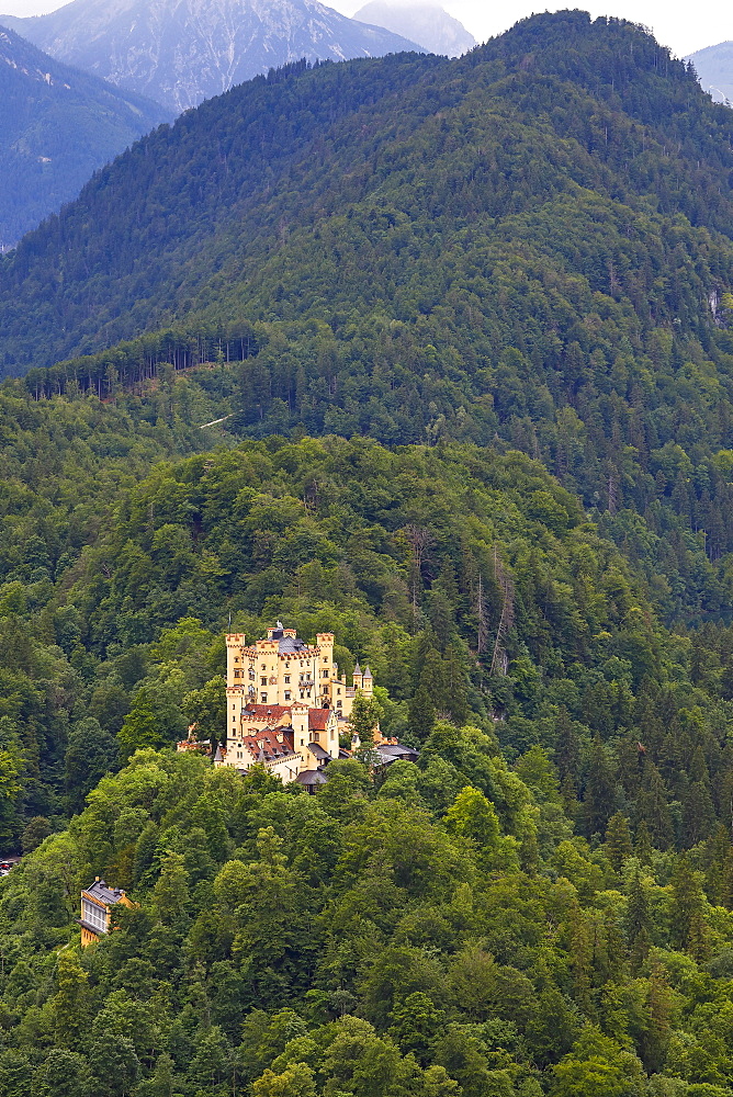 Hohenschwangau Castle, Ammergebirge, Schwangau, Koenigswinkel, romantic road, Ostallgaeu, Allgaeu, Swabia, Bavaria, Germany, Europe