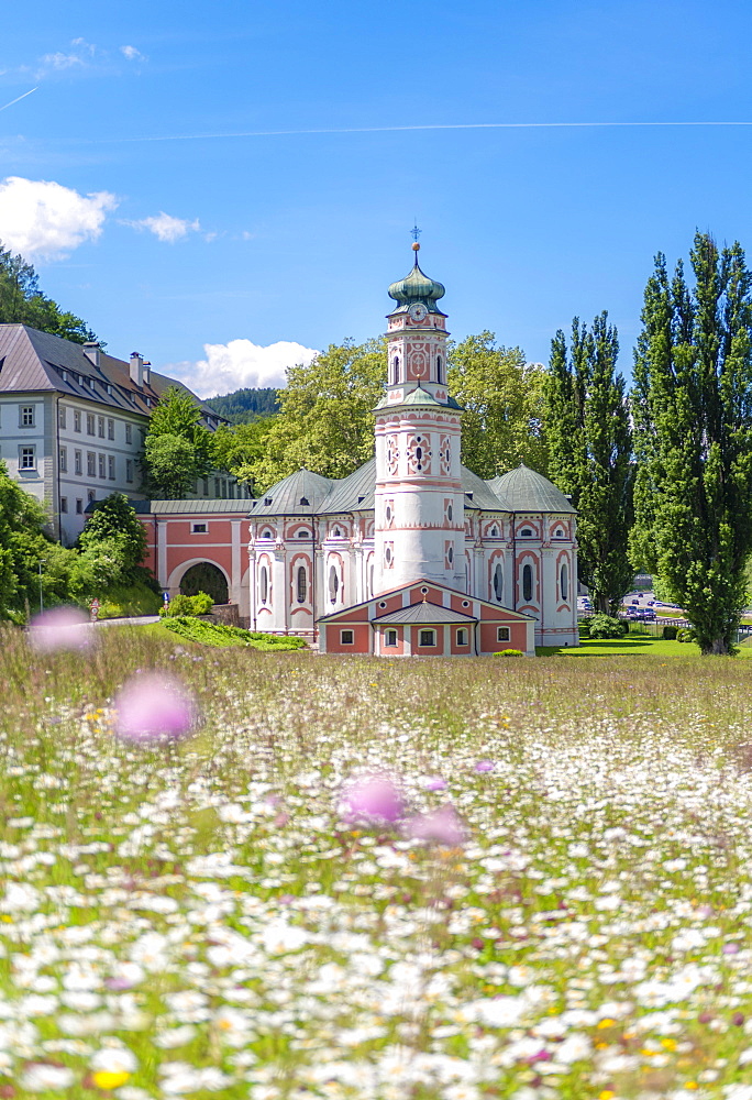 Flower meadow in front of the monastery St. Karl, St. Charles's Church, monastery church St. Karl Borromaeus, Rokoko, Volders, Tyrol, Austria, Europe