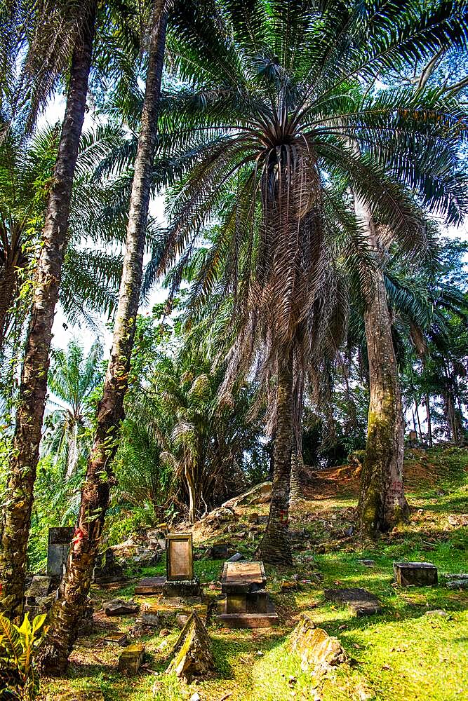 Historic Bel Air Cemetery, although already badly dilapidated, is a national monument and one of the sights on the island with graves of famous personalities, Victoria, Mahe, Seychelles, Victoria, Mahe, Seychelles, Africa