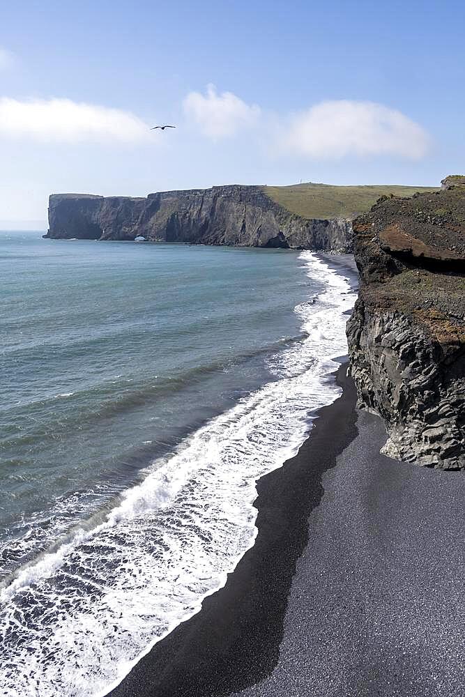 Rocky coast, Black sand beach, Dyrholaey, South Iceland, Iceland, Europe