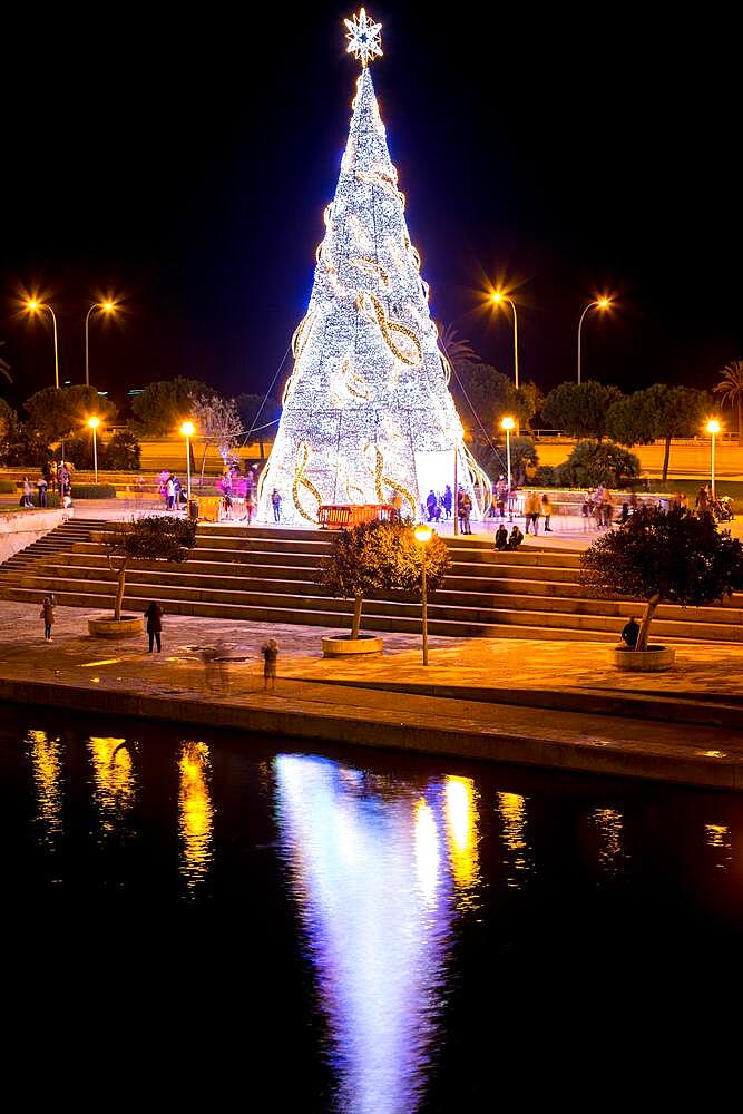 Illuminated Christmas tree, Christmas atmosphere, Advent season in Palma De Majorca, Parc de la Mar, Palma, Majorca, Spain, Europe