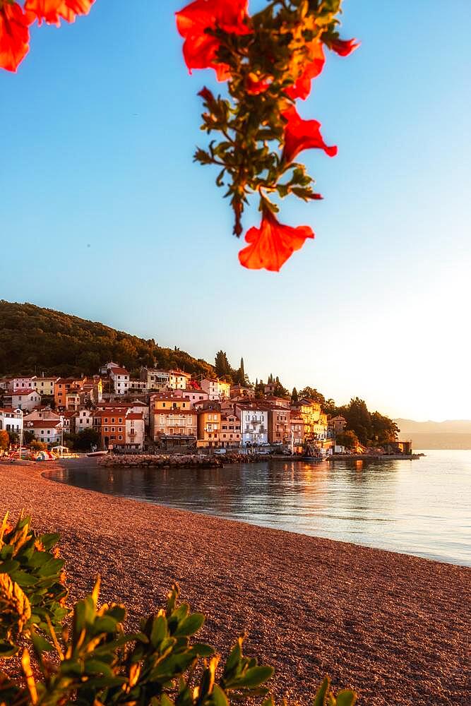 Bathing beach, Moscenicka Draga, Beautiful red flowers, Istria, Kvarner Gulf Bay, Croatian Adriatic, Croatia, Europe