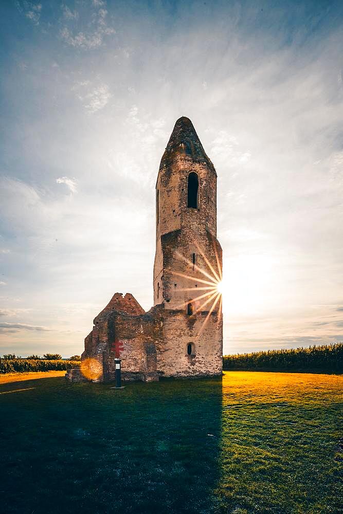 Ruin of a church in a cornfield. Old catholic church tower in the sunset, Pusztatorony, Somogyvamos at Lake Balaton, Hungary, Europe