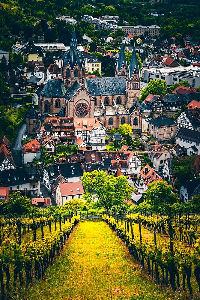 View over vineyards, towards Heppenheim on the Bergstrasse, with cathedral and old town, Odenwald, Hesse, Germany, Europe