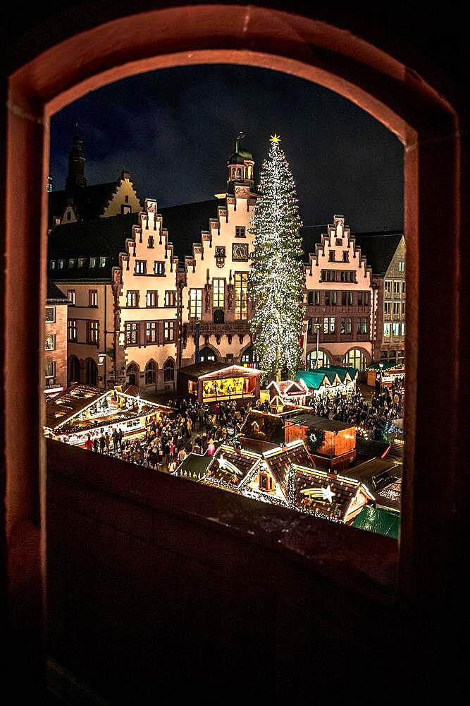 Frankfurt Christmas market, with large Christmas tree on the Roemer, with its historic town hall, taken through an arch from above, blue hour, Frankfurt am Main, Hesse, Germany, Europe