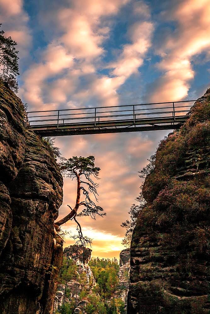 Sunrise on the Bastei Bridge in Saxon Switzerland, view from Felsenburg Neurathen, Saxony, Germany, Europe