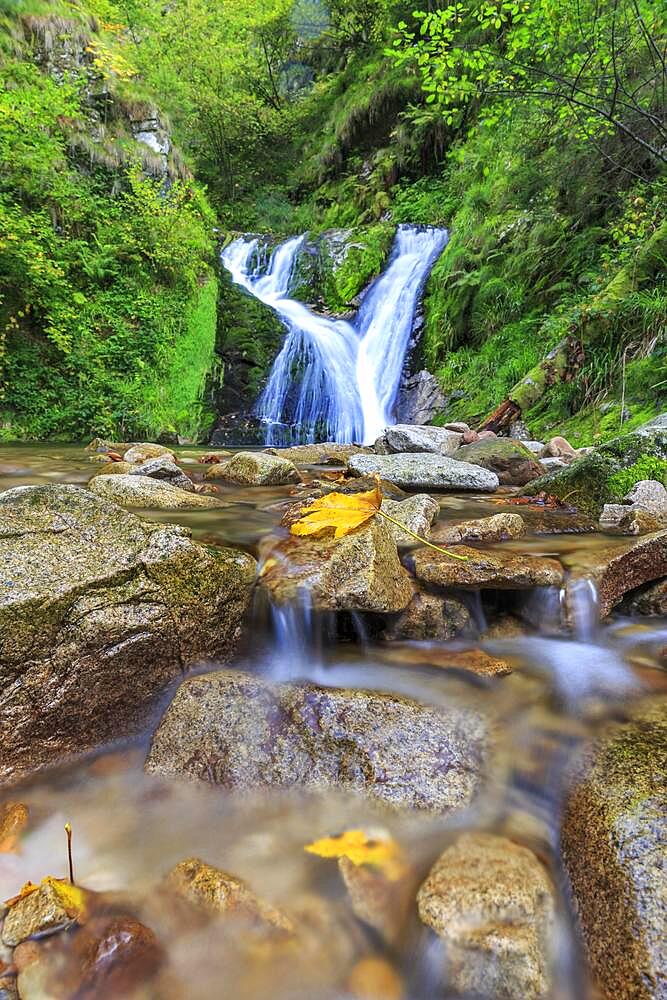 All Saints Waterfalls, autumn, Oppenau, Black Forest National Park, Baden-Wuerttemberg, Germany, Europe