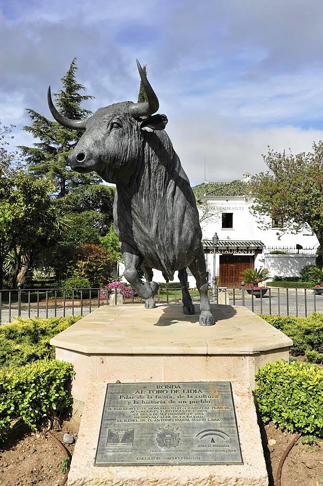 Monument to a fighting bull, Ronda bullring, Plaza de Toros, Malaga province, Andalusia, Spain, Europe