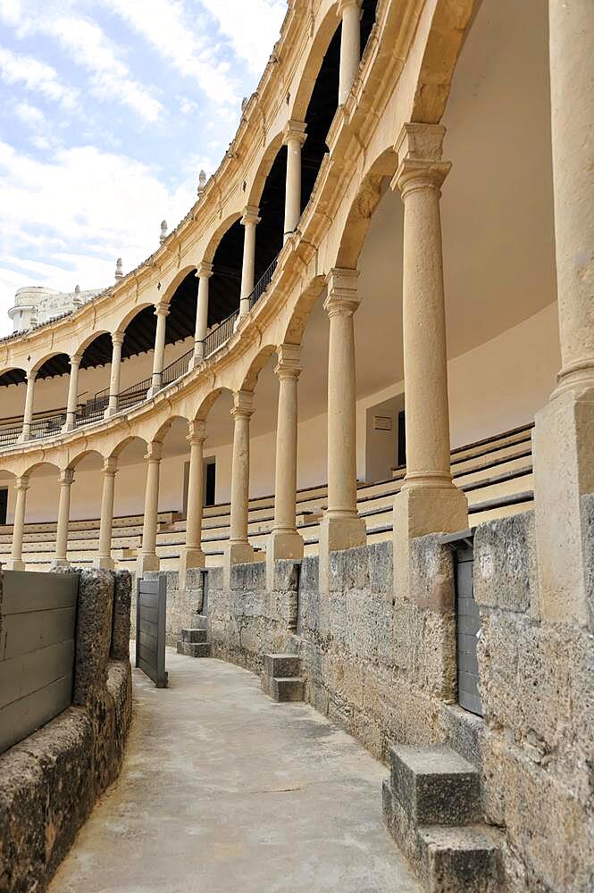 Ronda Bullring, Plaza de Toros, Malaga Province, Andalusia, Spain, Europe