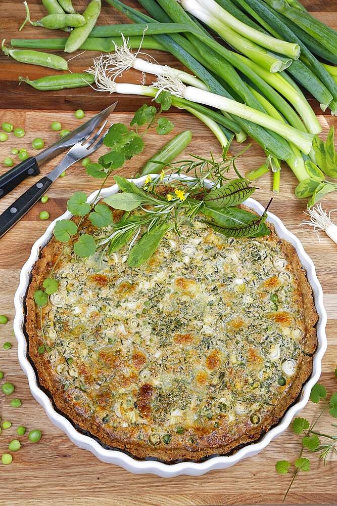 Southern German cuisine, baking, hearty vegetable cake with walnut base, peas, wild herbs and spring onions, quiche dish, tart dish, ceramic baking dish, wooden board, Germany, Europe