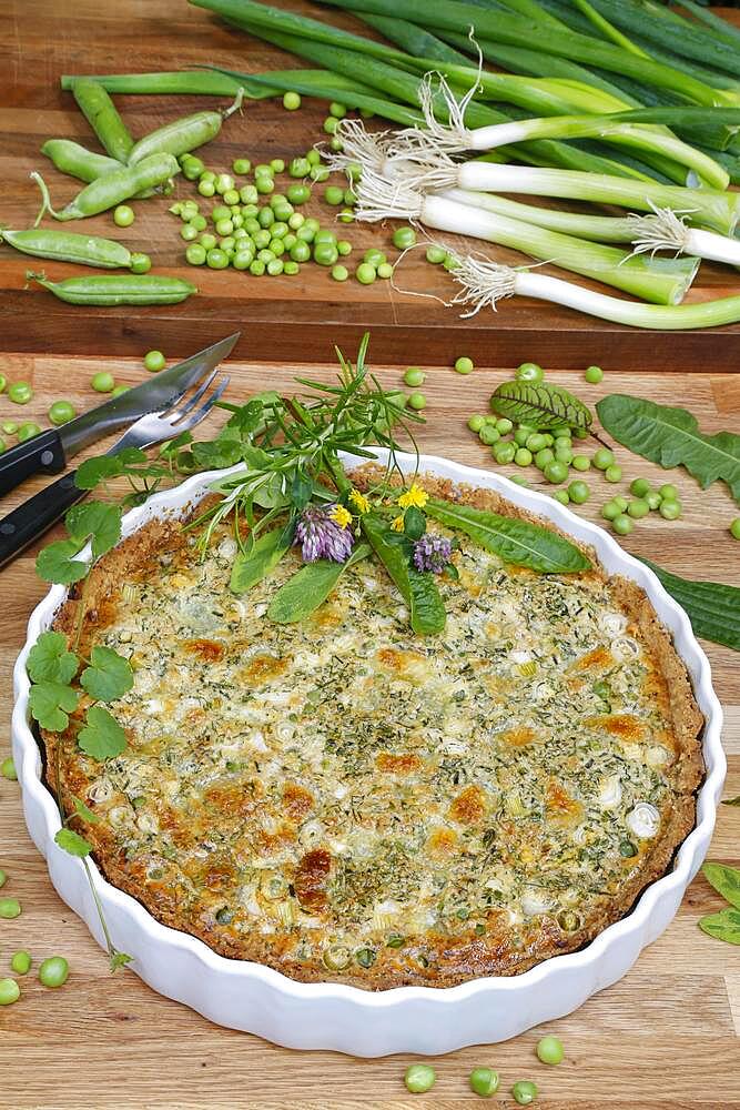 Southern German cuisine, baking, hearty vegetable cake with walnut base, peas, wild herbs and spring onions, quiche dish, tart dish, ceramic baking dish, wooden board, Germany, Europe