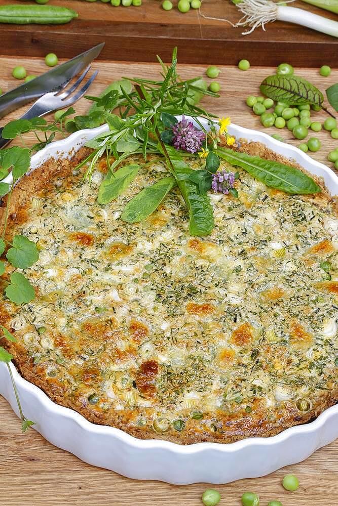 Southern German cuisine, baking, hearty vegetable cake with walnut base, peas, wild herbs and spring onions, quiche dish, tart dish, ceramic baking dish, wooden board, Germany, Europe