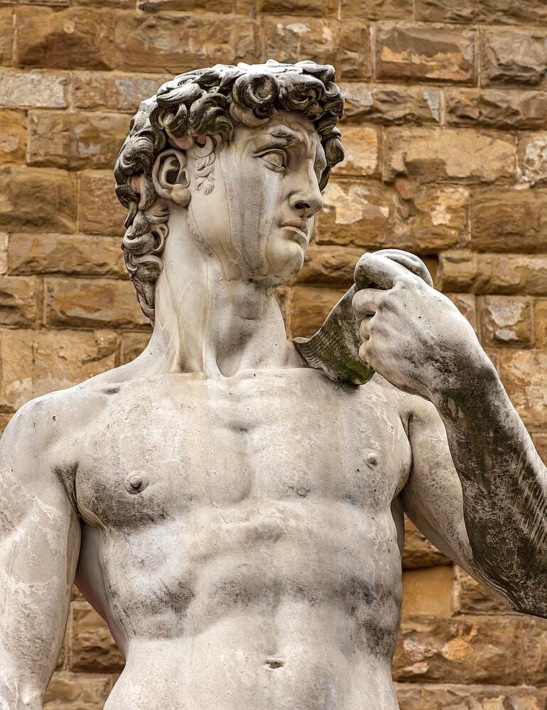 Copy of Michelangelo's statue of David at Piazza della Signoria, Florence, Italy, Europe