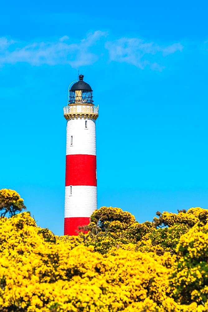 Tarbat Ness Lighthouse, Portmahomack, East Coast of Scotland, UK