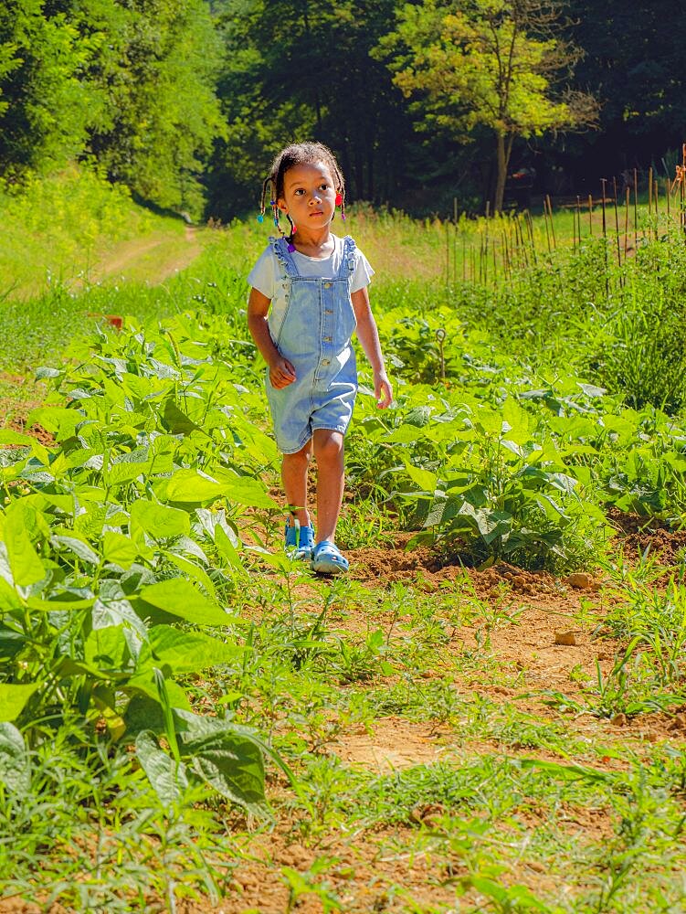 African little girl walking in the farm vegetable garden taking care of plants wearing denim salopette in summertime