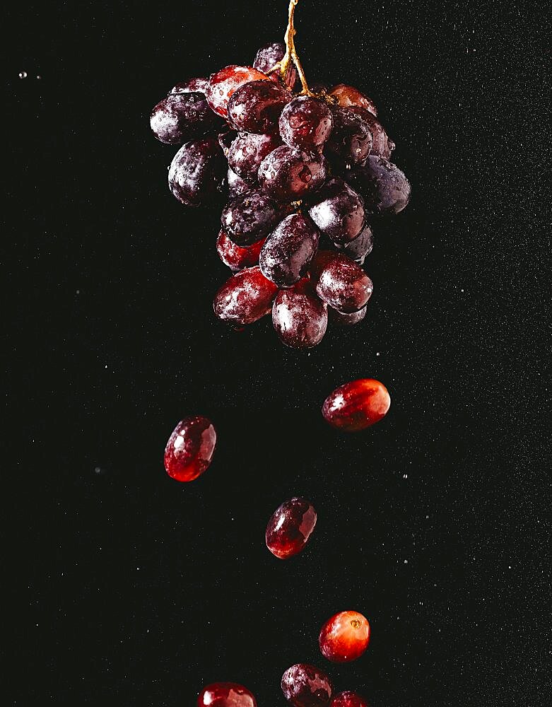Food photography, grapes (Vitis) with water drops