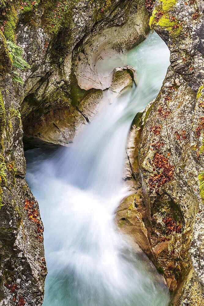 Moznica gorge, torrent in narrow canyon, Bovec, Soca valley, Triglav National Park, Slovenia, Europe