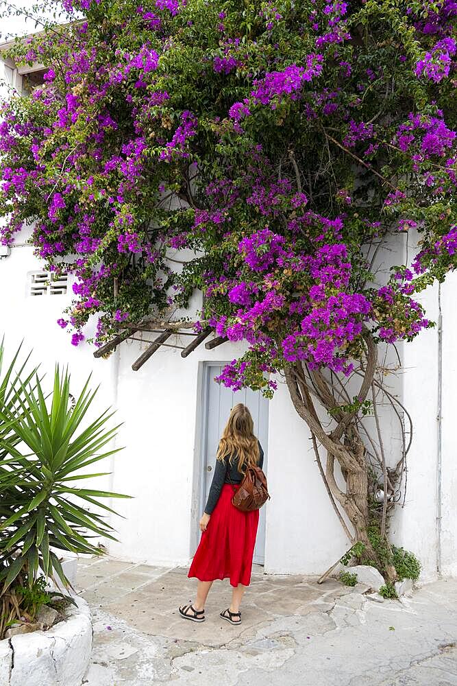 Young woman with red skirt in the alleys of the old town Chora, large purple bougainvillea, Mykonos Town, Mykonos, Cyclades, Greece, Europe