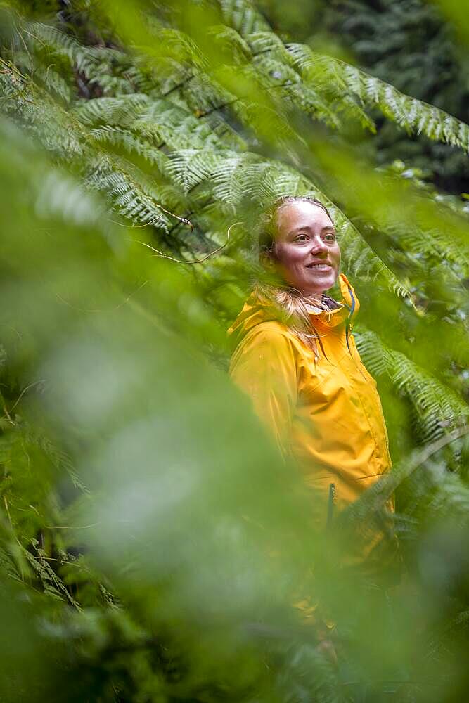 Adventure in nature, hiker in the thicket, fern, PR9 Levada do Caldeirao Verde, Madeira, Portugal, Europe