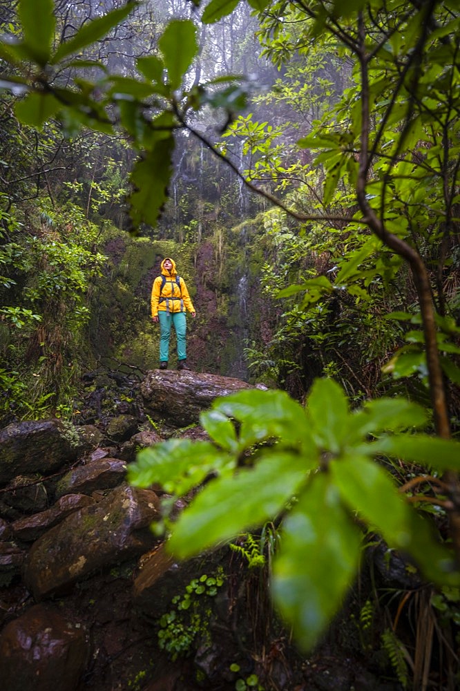 Hiker standing in the forest in front of waterfall at Vereda Francisco Achadinha, Rabacal, Madeira, Portugal, Europe