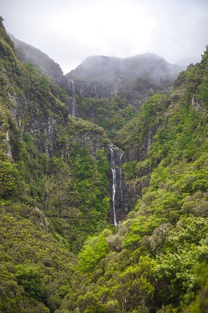 Waterfall, Green Forest and Mountains of Rabacal, Paul da Serra, Madeira, Portugal, Europe