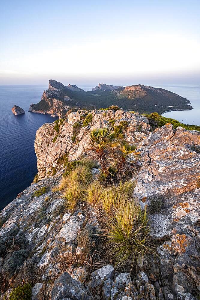 View of rocky cliffs and sea, Cap Formentor, coastal landscape, evening mood, Pollenca, Majorca, Balearic Islands, Spain, Europe