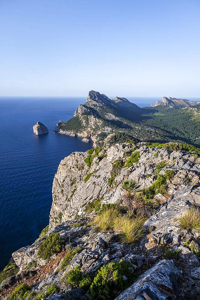 View of rocky cliffs and sea, Cap Formentor, coastal landscape, Pollenca, Majorca, Balearic Islands, Spain, Europe