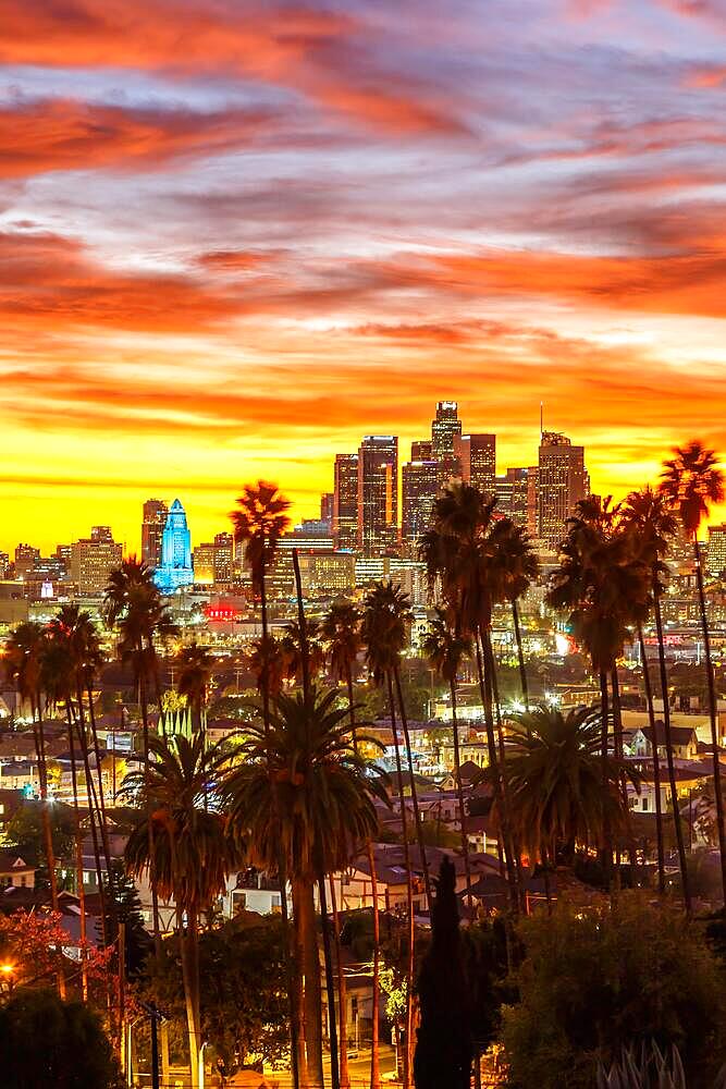 View of Downtown Los Angeles Skyline with Palm Trees at Sunset in California in Los Angeles, USA, North America