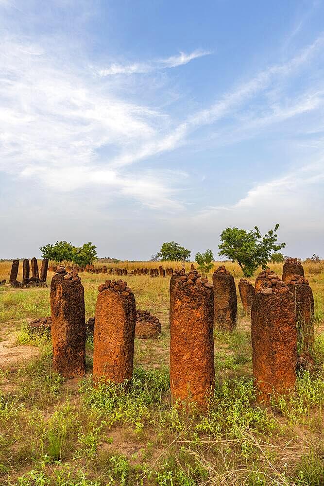 Unesco site Senegambian stone circles, Wassu, Gambia, Africa