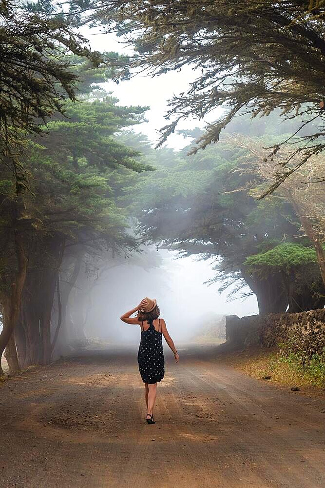 A tourist woman walking through foggy trees towards the juniper forest in El Hierro. Canary Islands