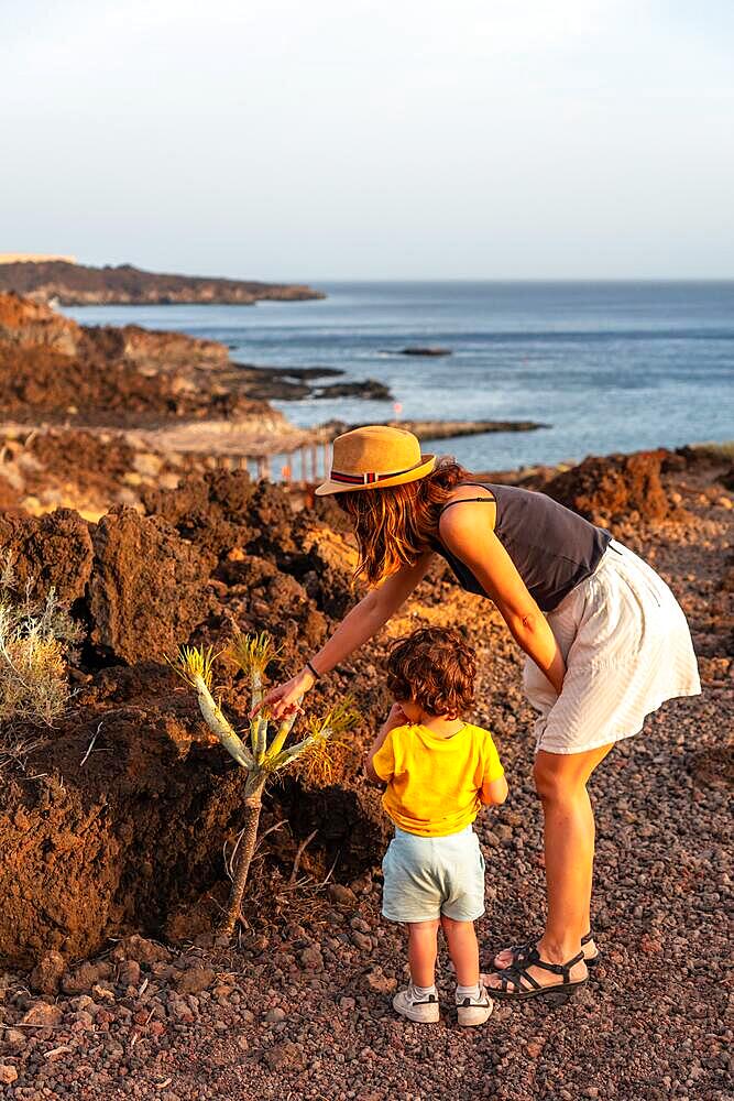 Mother and son on a path looking at a cactus at sunset on the beach of Tacoron on El Hierro, Canary Islands