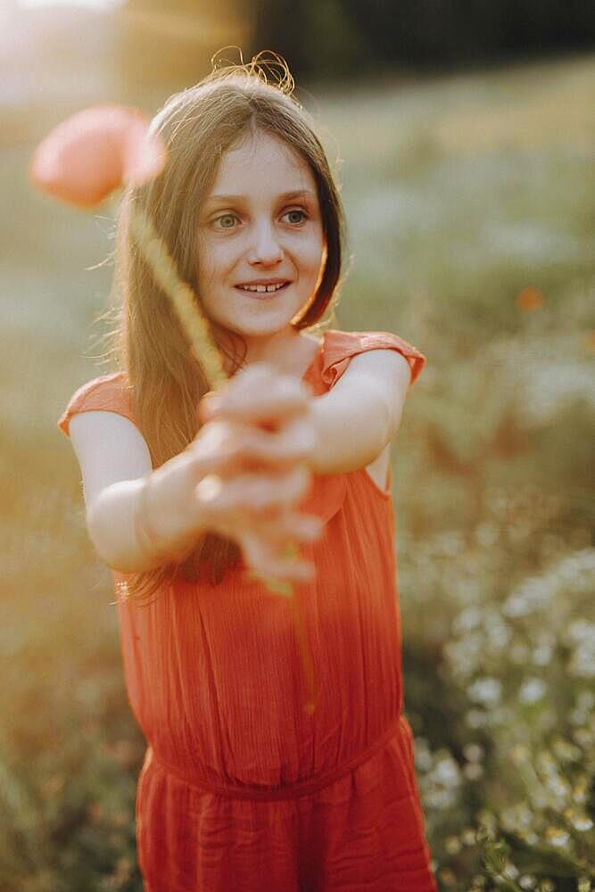 Girl in a red dress in a poppy meadow