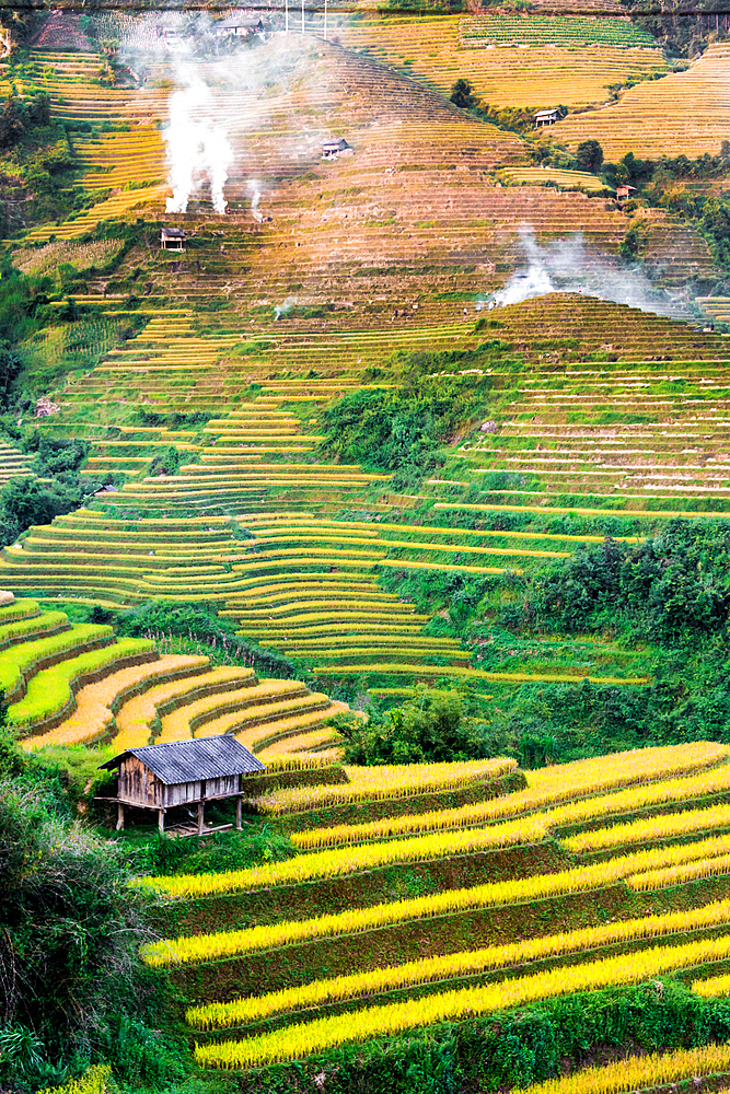 Landscape view of rice fields in Mu Cang Chai District, Yen Bai Province, North Vietnam